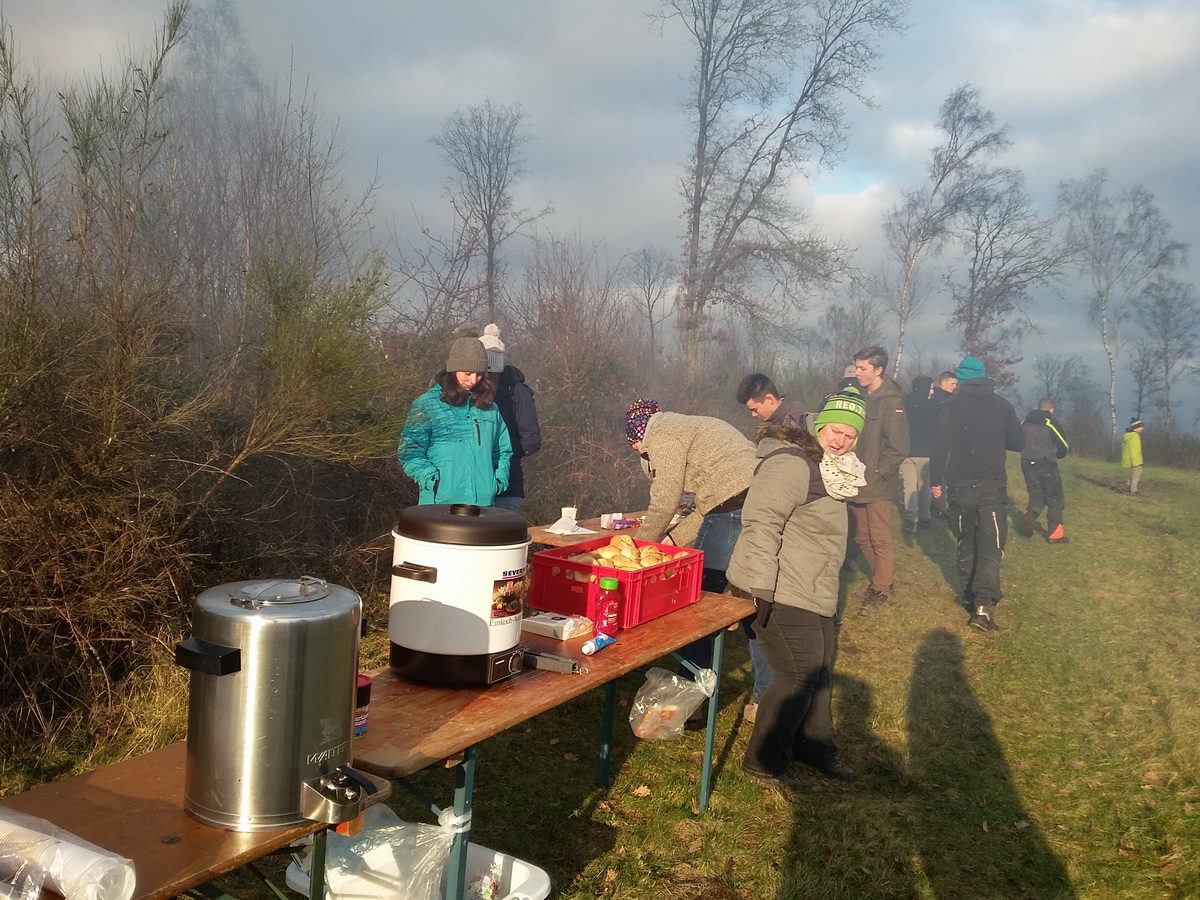 Weihnachtsbaum-Akton